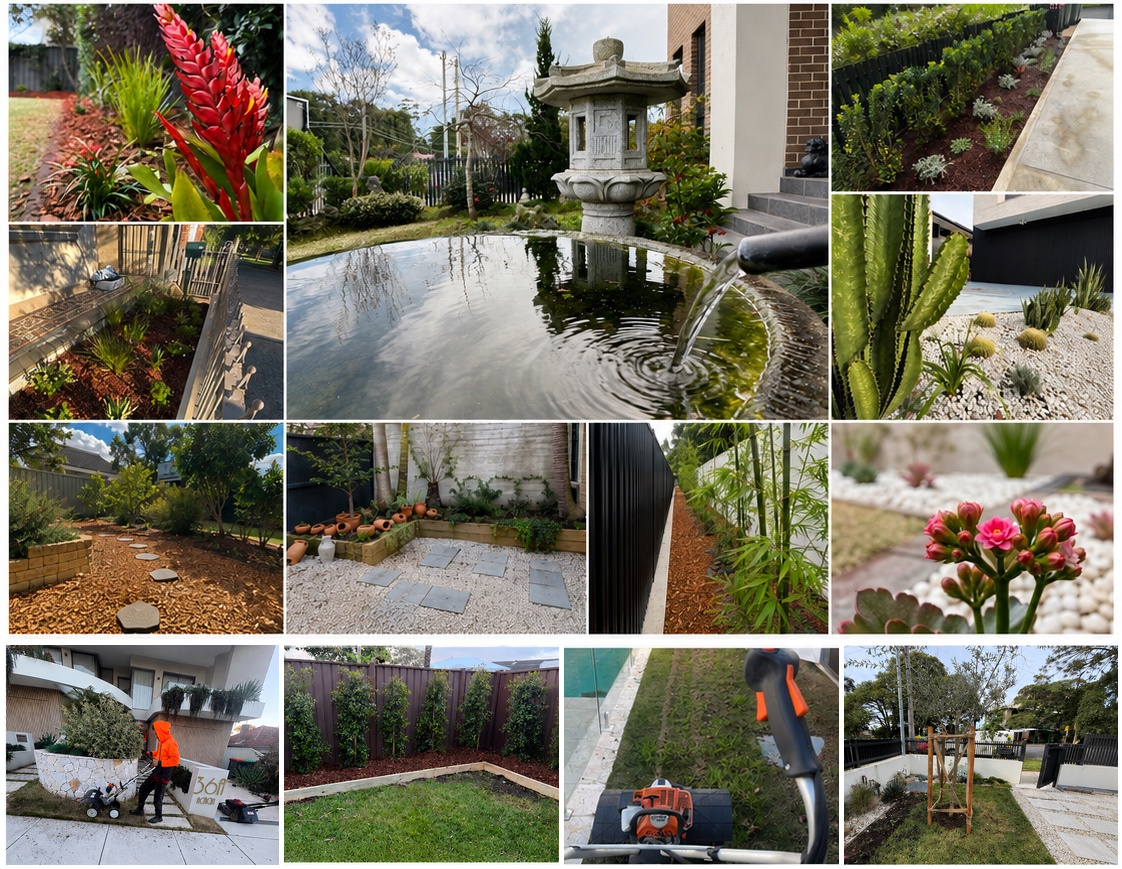 Renovated Sydney garden with refreshed planting and garden beds