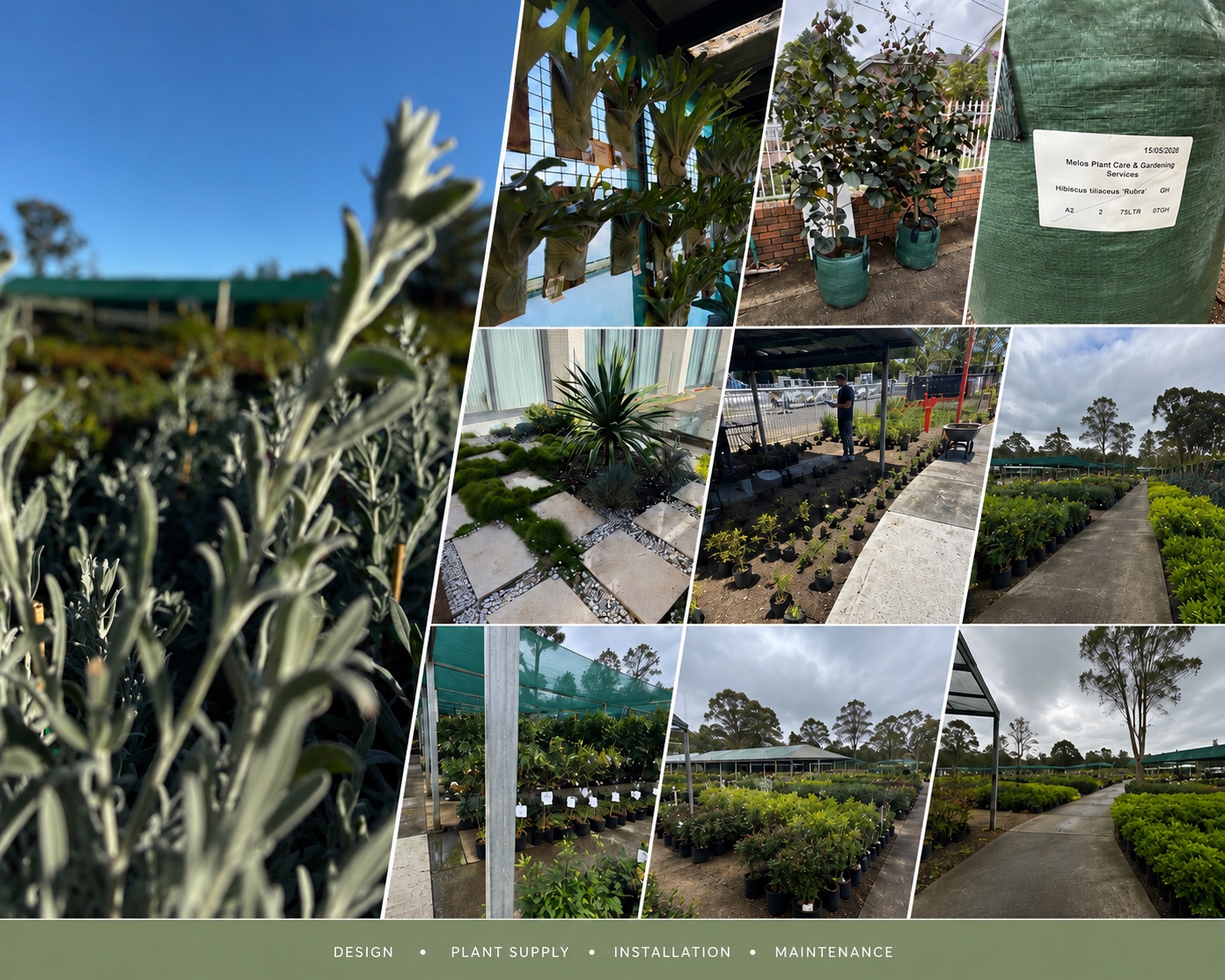 Quality plants supplied and installed for a residential garden